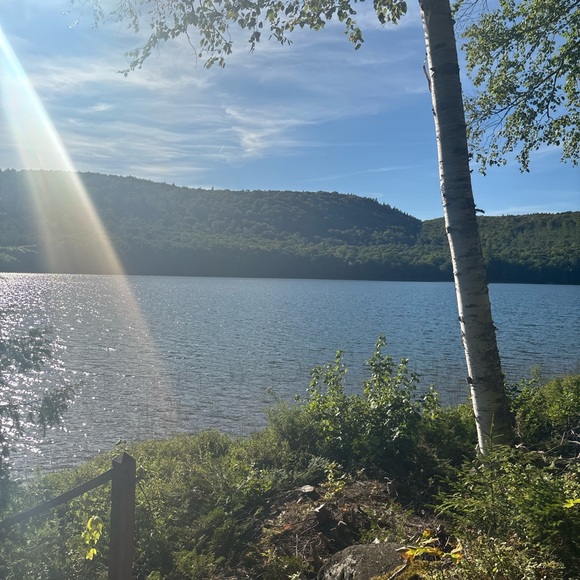 Like This To Be Notified When I Go Live - Picture 12 of 15